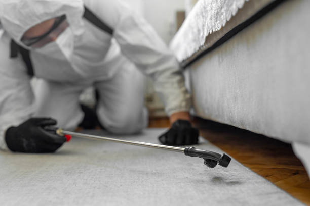 Professional Termite Control technician working in Victoria, MS