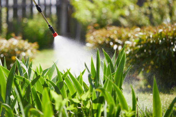 24/7 Emergency Termite Control experts in Victoria, MS